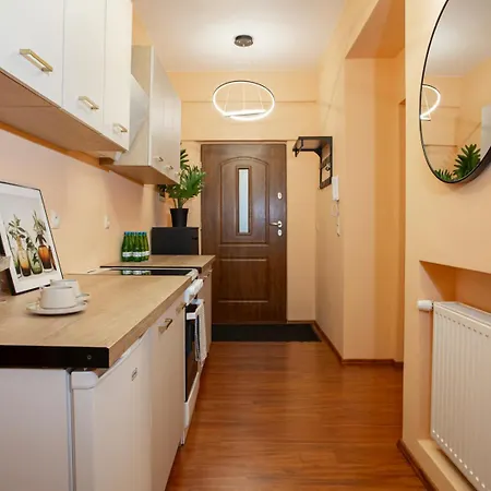 Potworowskiego 17 Sloneczny Obok P Wilsona I Mtp Apartman Poznań
